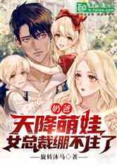 天降萌娃，我的老婆是美女总裁,天降萌宝的甜蜜邂逅