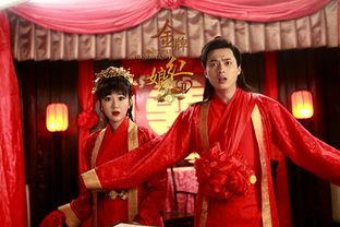 金牌红娘2,续写爱情传奇，再续姻缘佳话