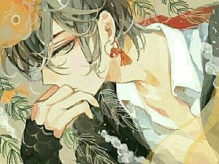 沐羽录,探寻神秘仙侠世界的奇幻旅程